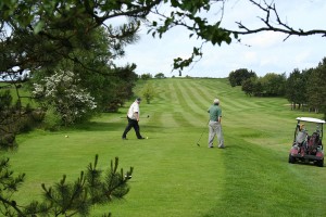2007-05-20-002_edited-golf-