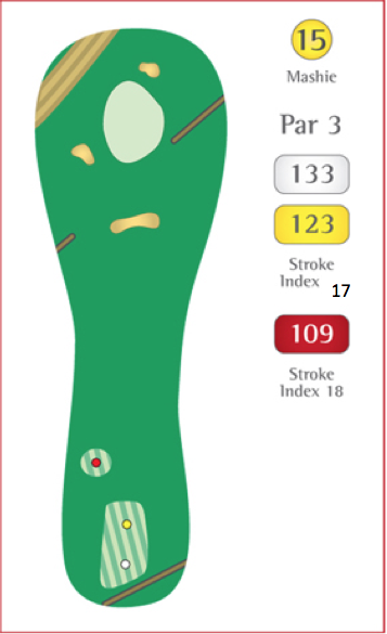 hole 15